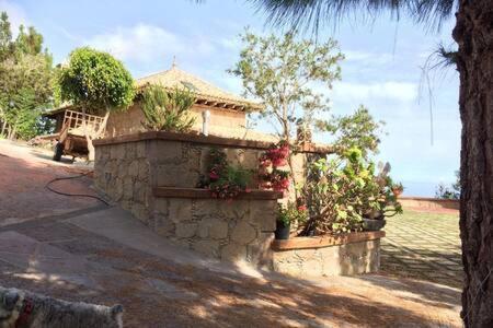 Villa Rural Faldas Del Teide Icod De Los Vinos Exterior foto