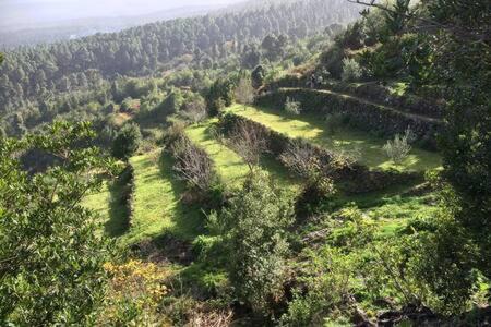 Villa Rural Faldas Del Teide Icod De Los Vinos Exterior foto